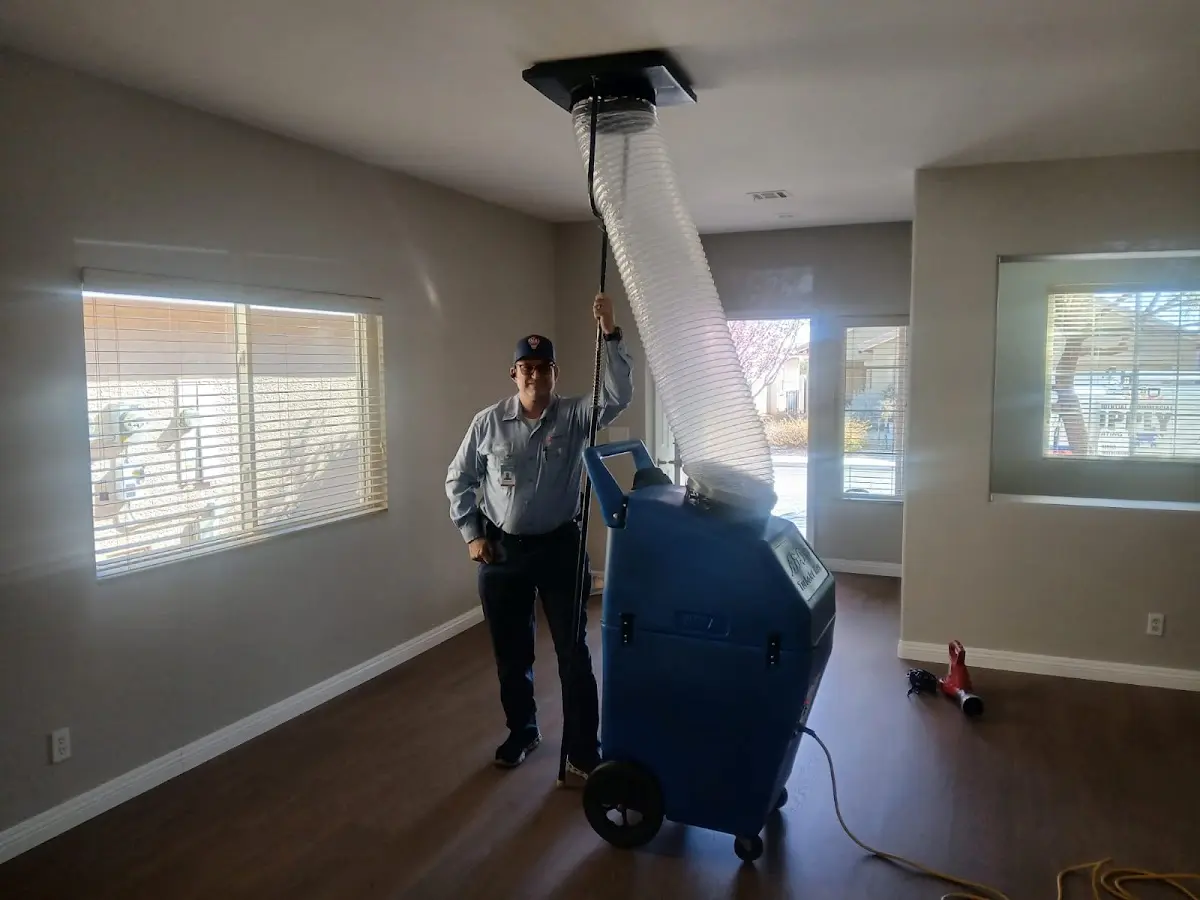 Professional Dryer Vent Cleaning work inside a Berkley home